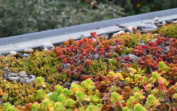 the cost of Tregurrian green roof installation