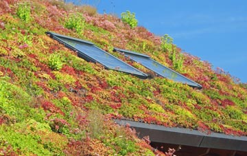 Tregurrian living roof systems