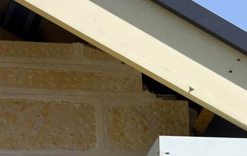 soffit repair Tregurrian